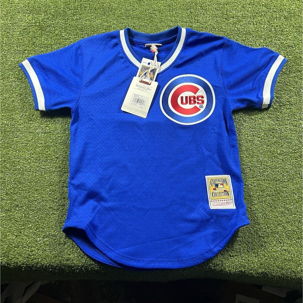 Chicago Cubs Greg Maddux #31 Mitchell & Ness Blue 1987 Authentic Size S Jersey